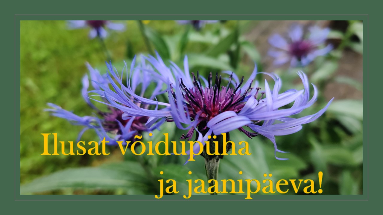 Jaanipäev